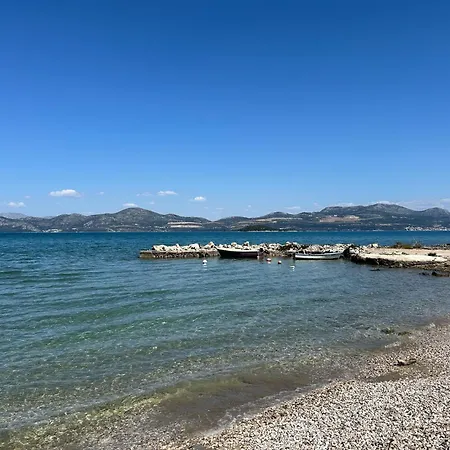 Aralo - Veraja * Drače